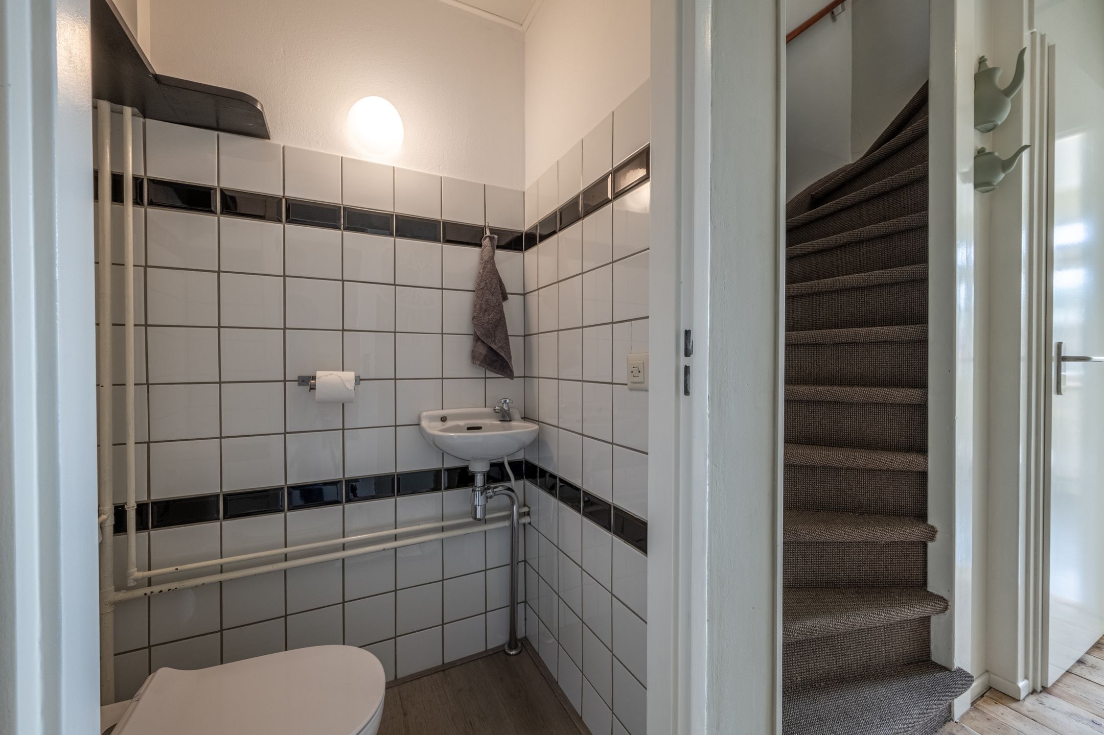 Foto 9 van Kikkerveen 152