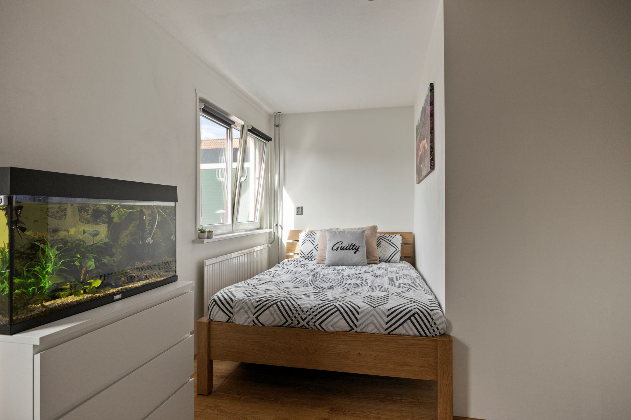 Foto 24 van Kruiszwin 2242