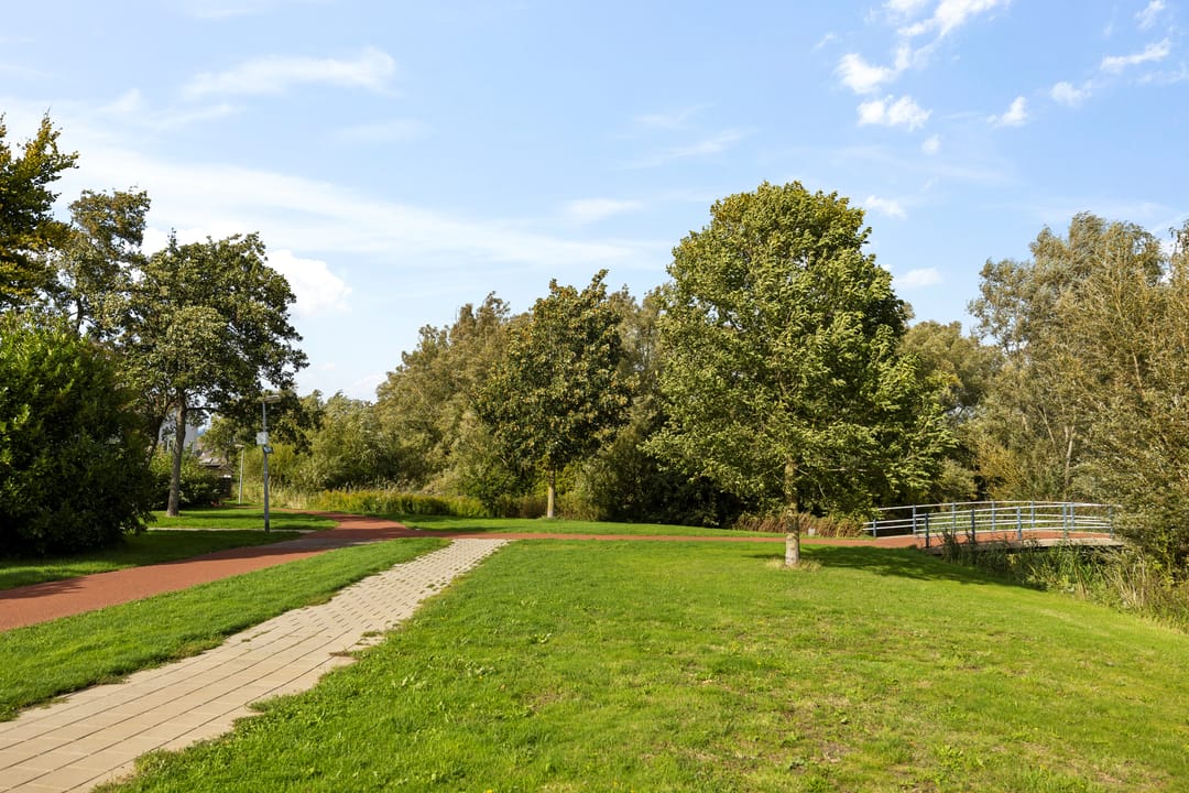 Foto 37 van Kruiszwin 2242