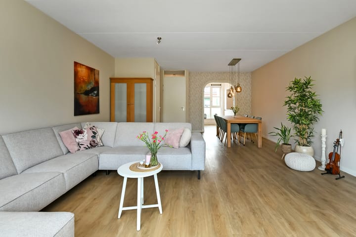 Foto 10 van Solidus 74