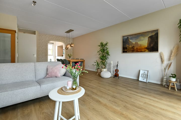 Foto 11 van Solidus 74