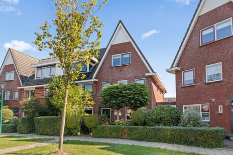 Kamgras 33 secondary image