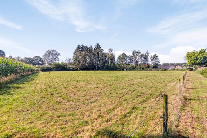 Foto 49 van Liesboslaan 95