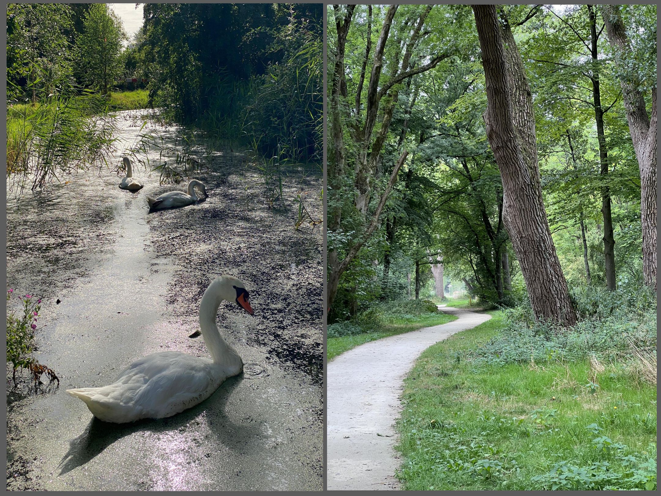 Foto 42 van Nieuwendammerkade 26-G