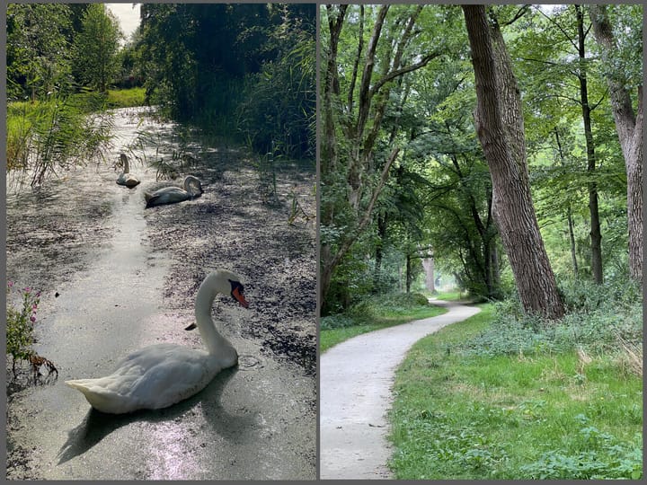 Foto 42 van Nieuwendammerkade 26-G