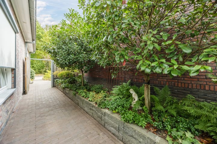 Foto 42 van de Groenling 15