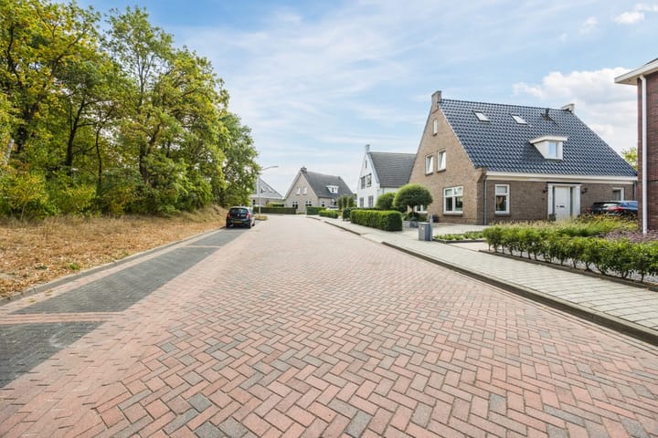 Foto 58 van de Groenling 15