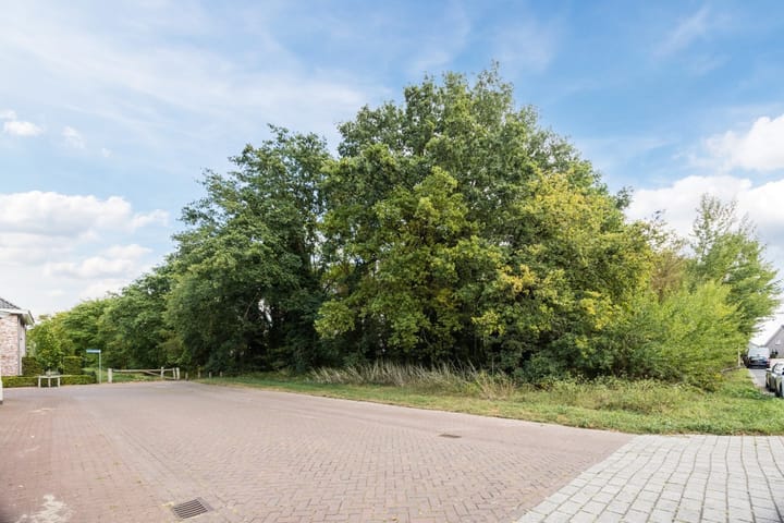 Foto 59 van de Groenling 15