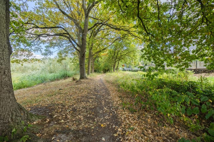 Foto 60 van de Groenling 15