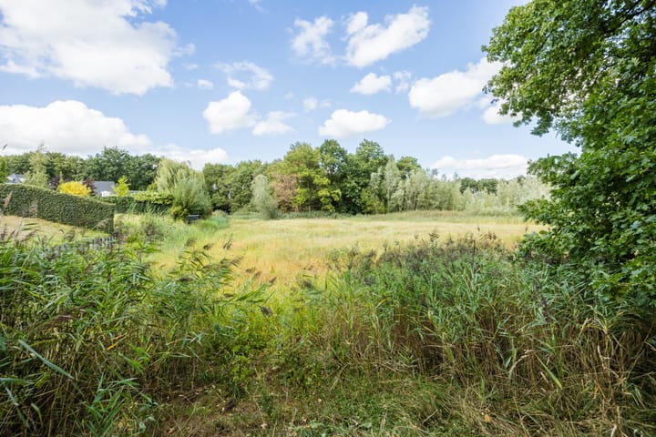 Foto 61 van de Groenling 15