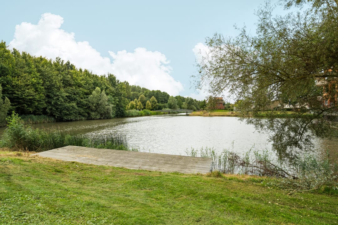 Foto 41 van Emily Brontësingel 115