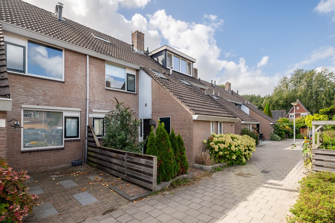 Foto 1 van Schijfmos 20