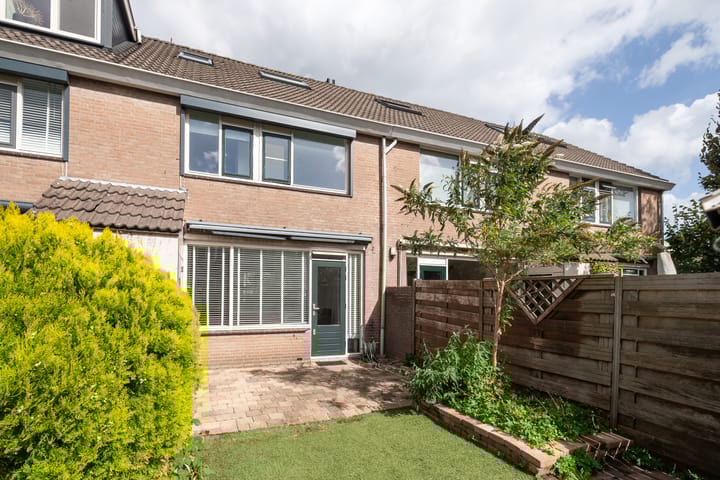 Foto 2 van Schijfmos 20