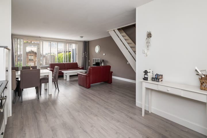 Foto 3 van Schijfmos 20