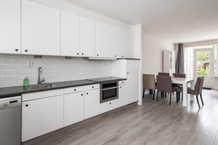 Foto 4 van Schijfmos 20