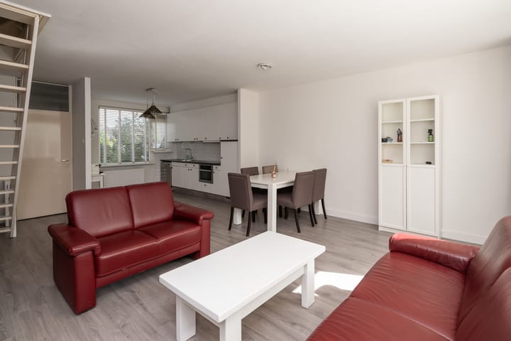 Foto 5 van Schijfmos 20