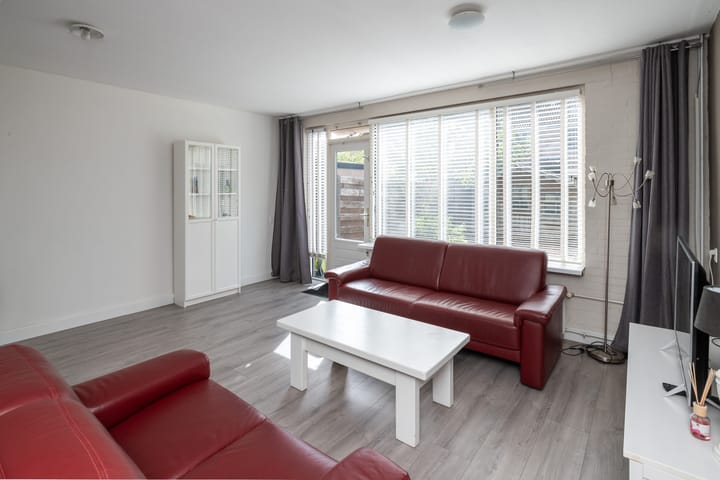 Foto 8 van Schijfmos 20