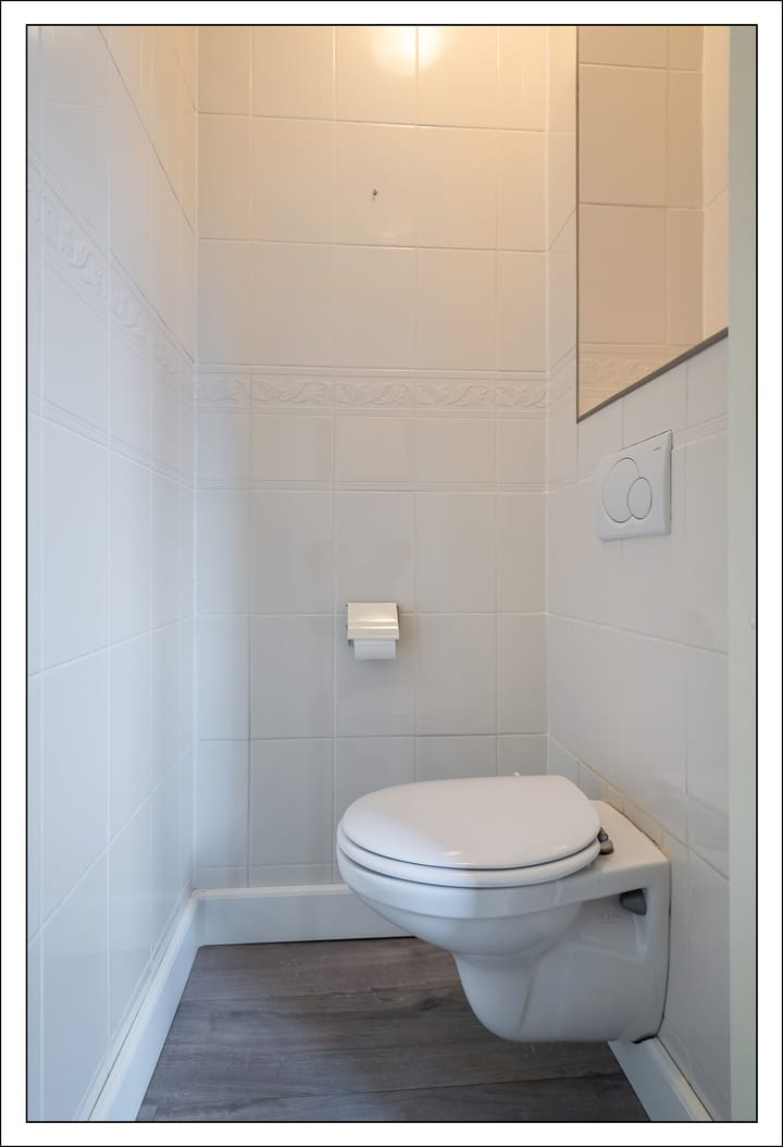 Foto 10 van Schijfmos 20