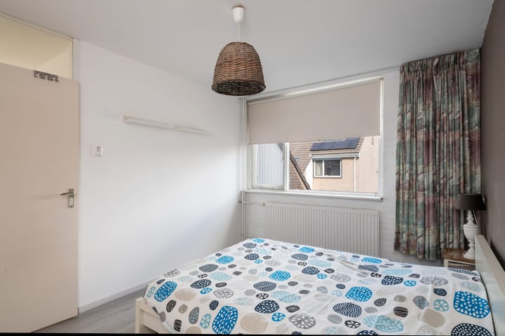 Foto 12 van Schijfmos 20