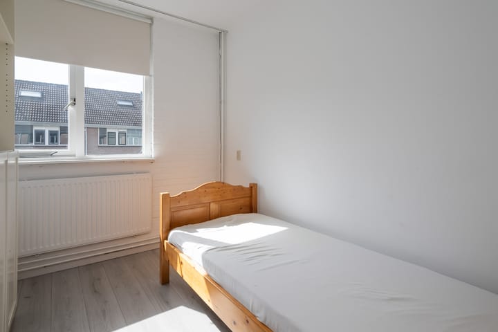 Foto 15 van Schijfmos 20