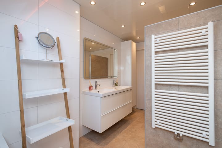 Foto 16 van Schijfmos 20