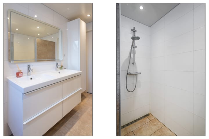 Foto 18 van Schijfmos 20