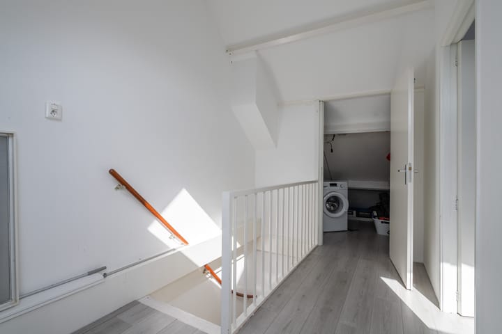 Foto 19 van Schijfmos 20