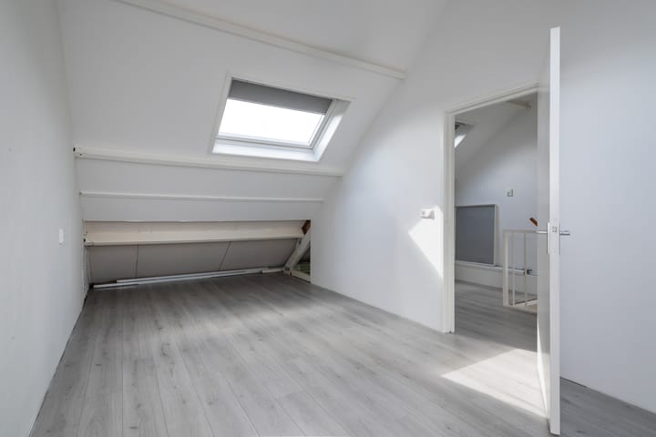 Foto 20 van Schijfmos 20