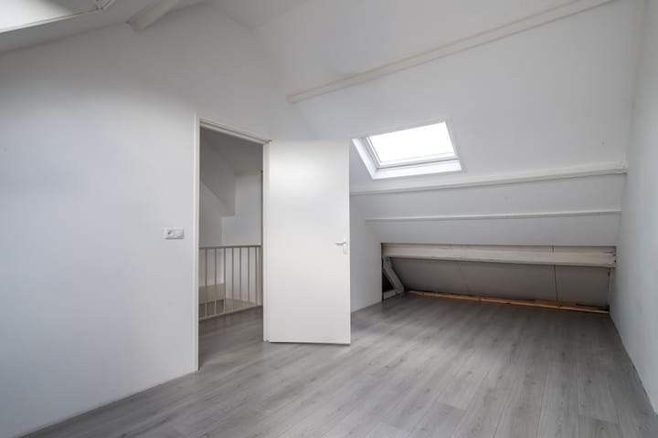 Foto 21 van Schijfmos 20