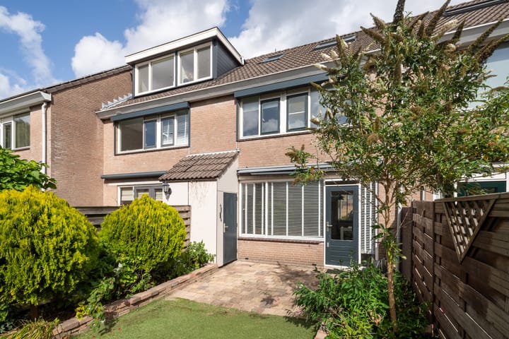 Foto 22 van Schijfmos 20