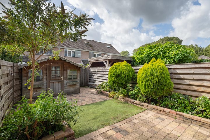 Foto 23 van Schijfmos 20