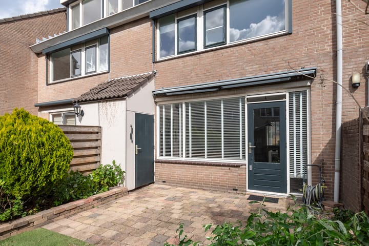 Foto 24 van Schijfmos 20