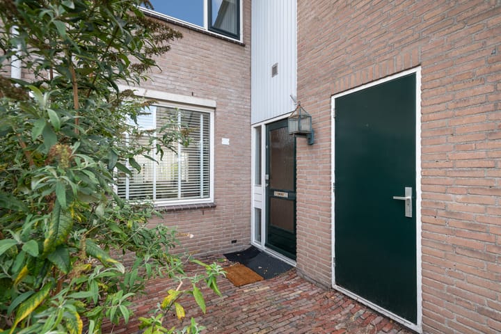 Foto 25 van Schijfmos 20