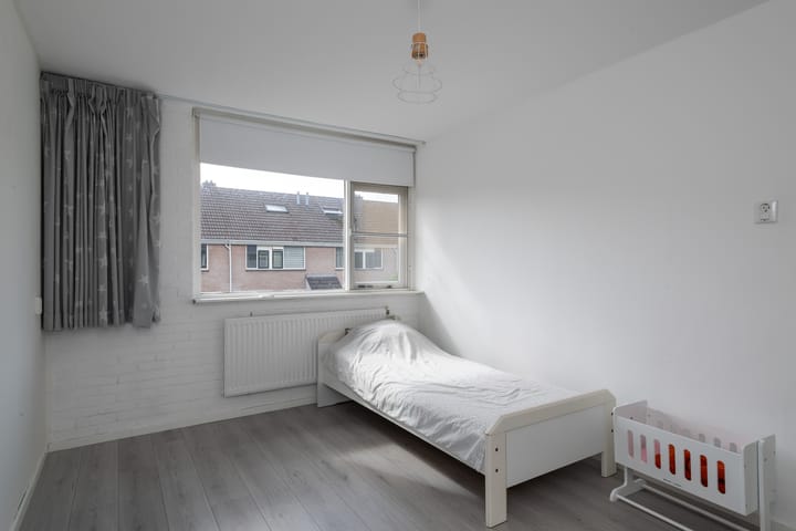 Foto 13 van Schijfmos 20