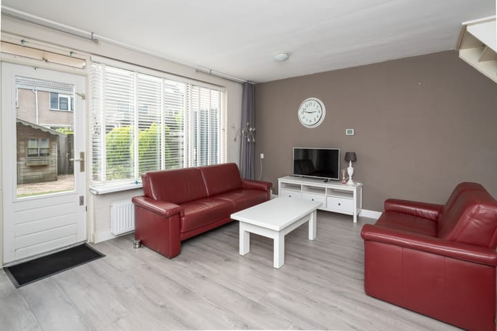 Foto 7 van Schijfmos 20