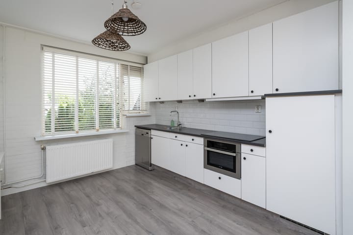 Foto 6 van Schijfmos 20