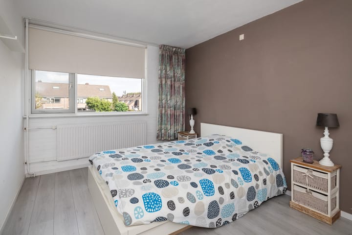 Foto 11 van Schijfmos 20