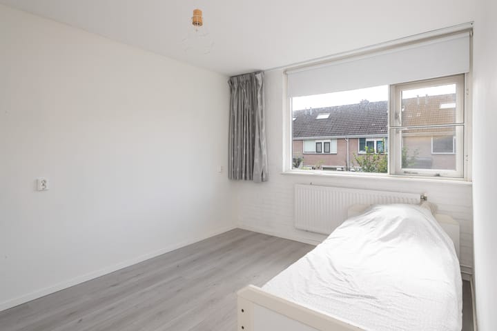 Foto 14 van Schijfmos 20