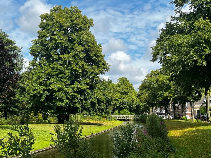 Foto 13 van De Proeverij Vlaardingen