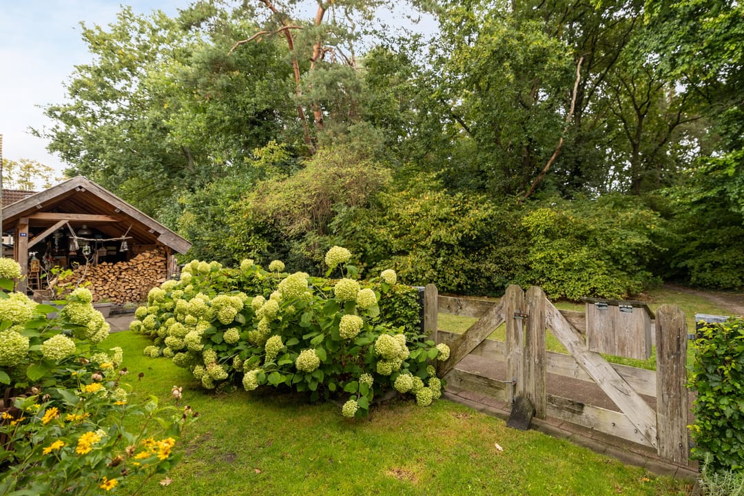 Foto 2 van Van Karnebeekstraat 22