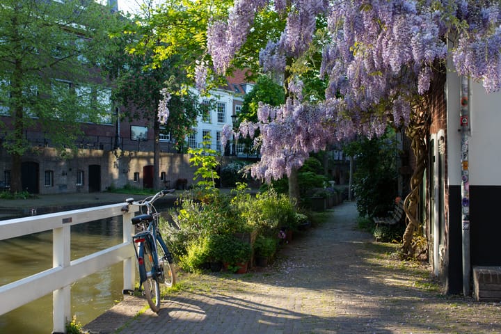 Foto 29 van Doelenstraat 3-E