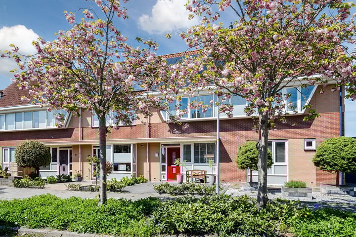 Foto 1 van Kolgans 65