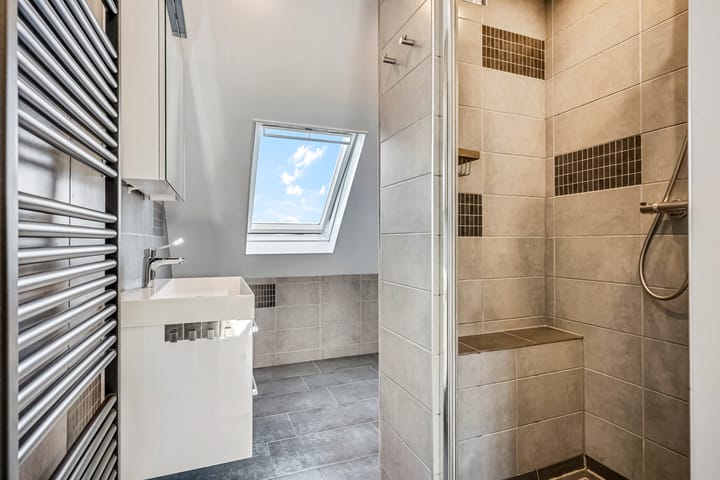 Foto 4 van Zebravink 8