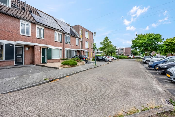 Foto 5 van Zebravink 8