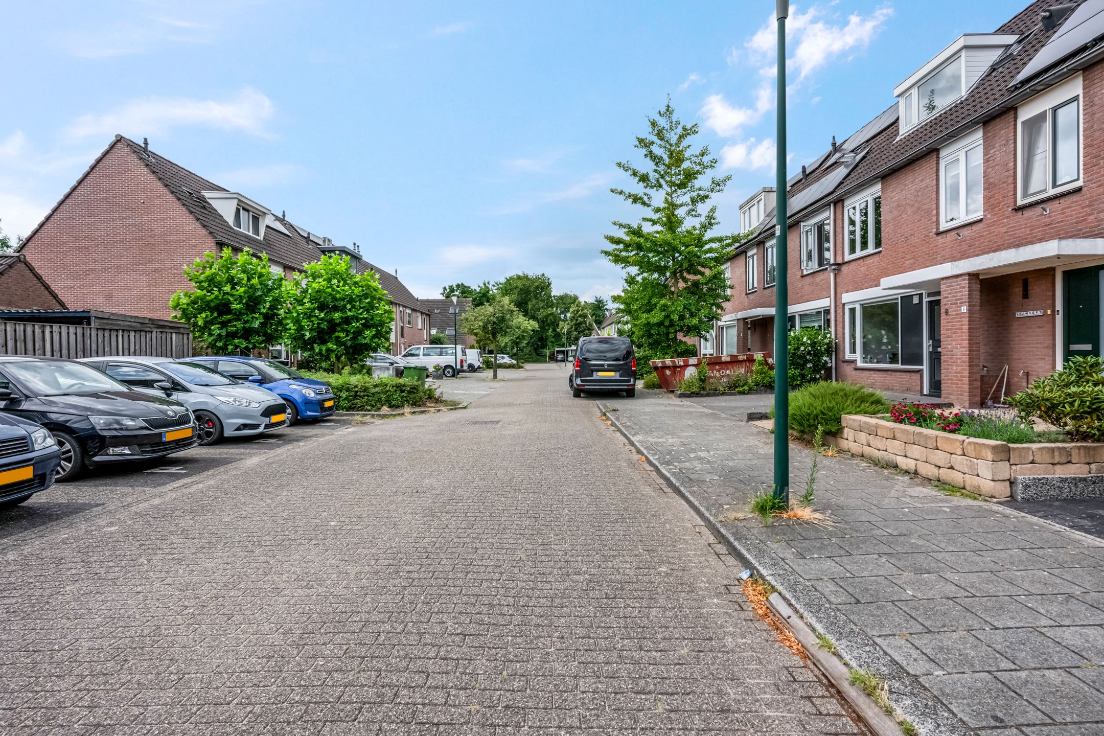 Foto 6 van Zebravink 8