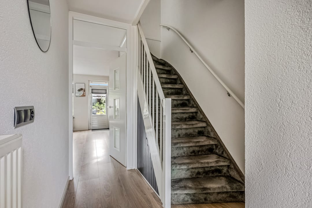 Foto 7 van Zebravink 8