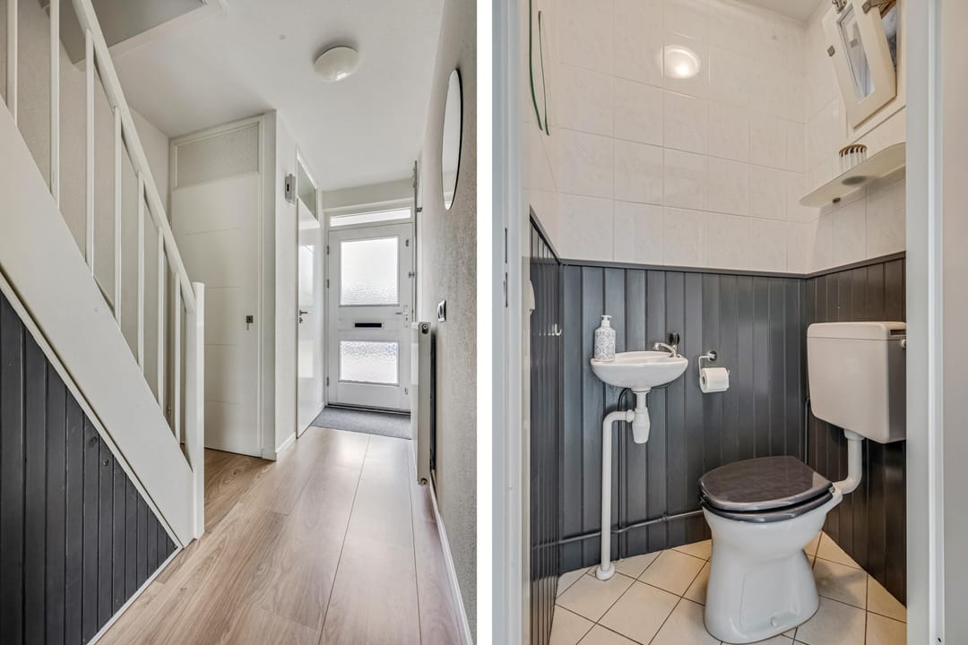 Foto 8 van Zebravink 8