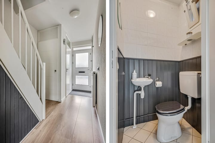 Foto 8 van Zebravink 8