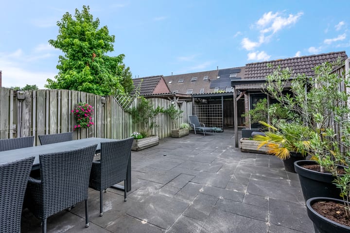 Foto 26 van Zebravink 8