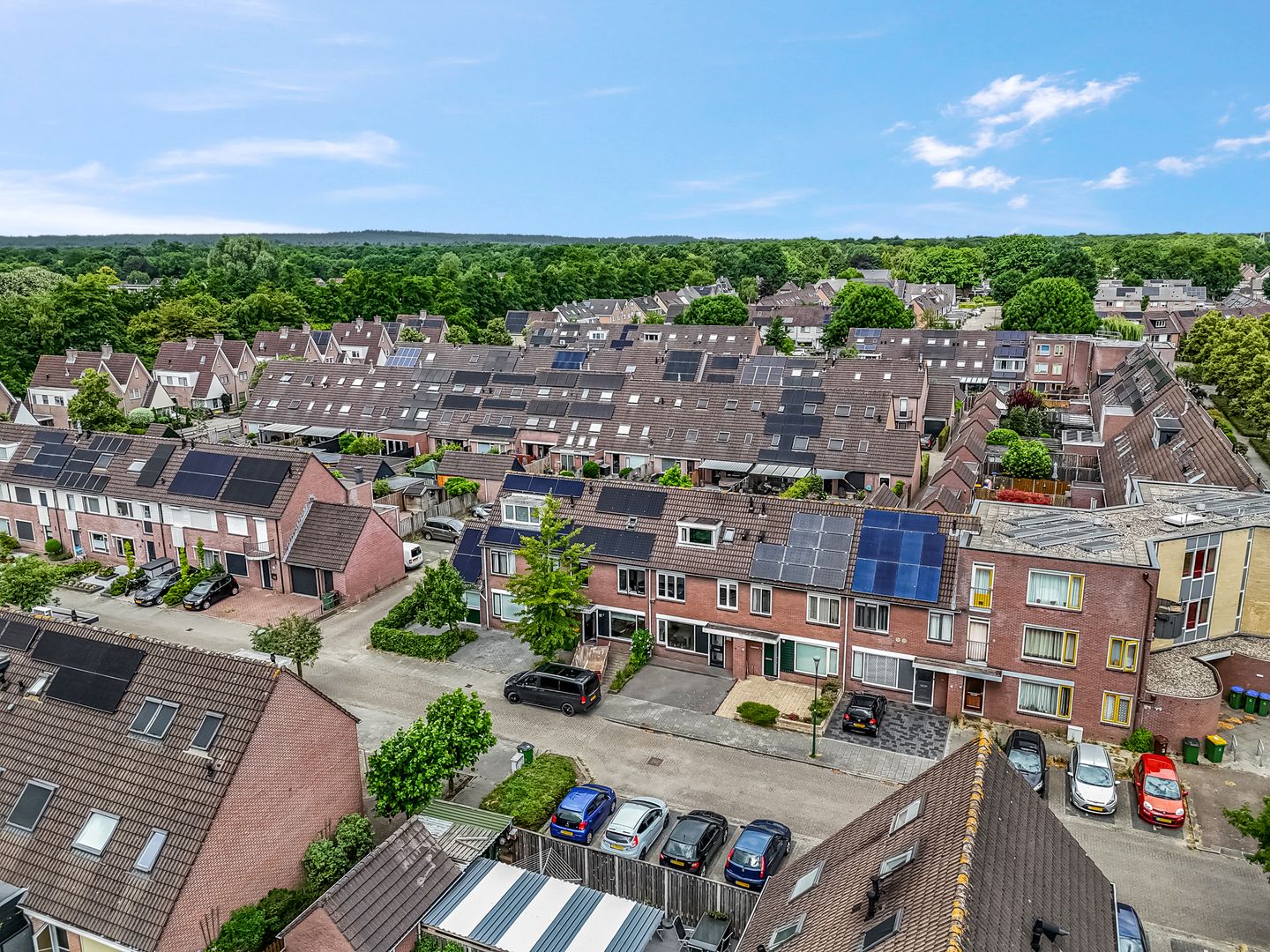 Foto 34 van Zebravink 8